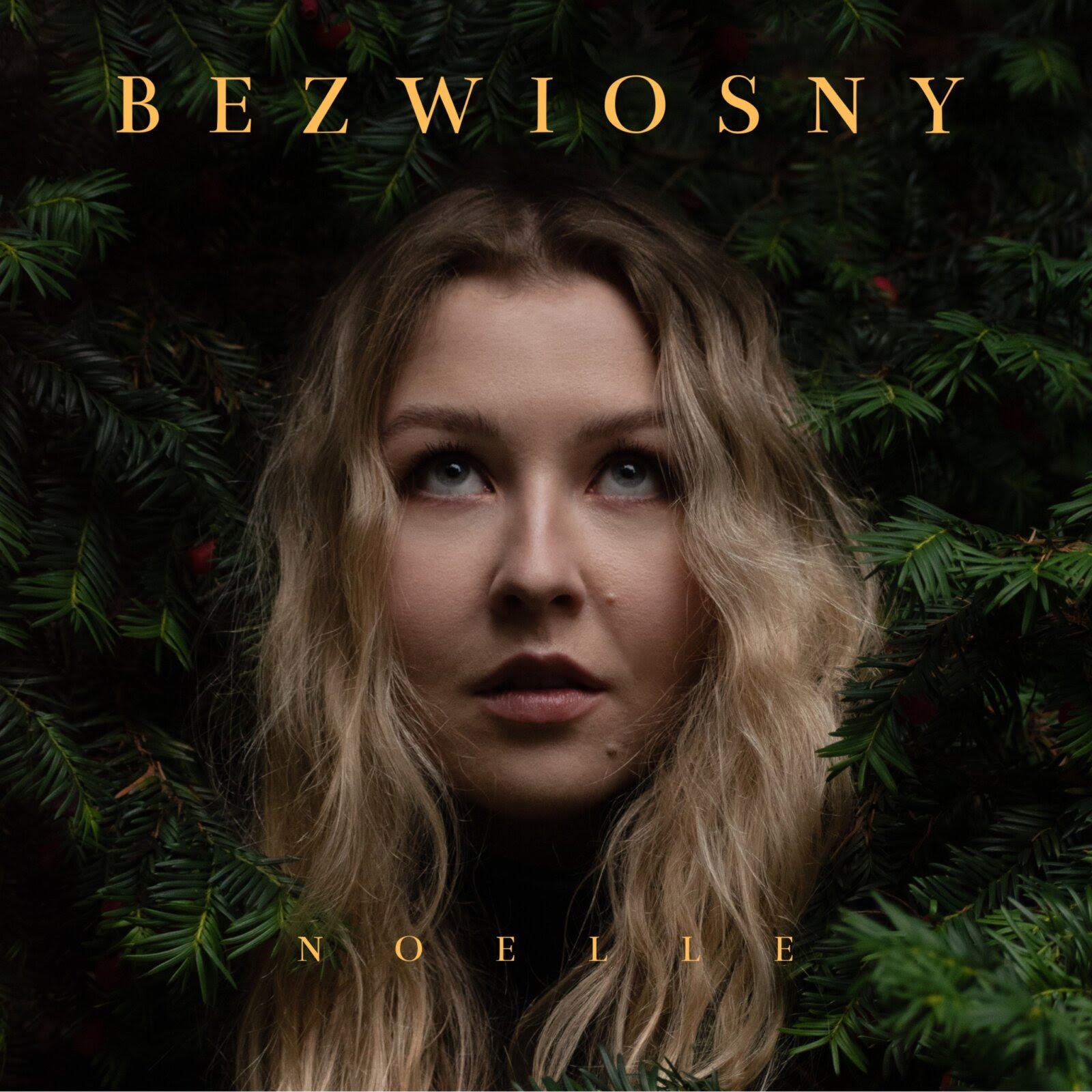 Nowy album „Bezwiosny”: unikatowe połączenie folku, jazzu i alternatywy z Gdańska