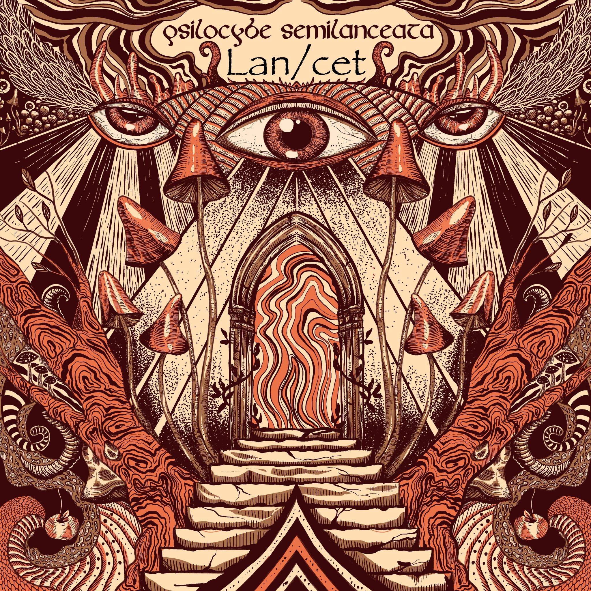 Lan/cet „Psilocybe Semilanceat” – Psychodeliczna wiwisekcja