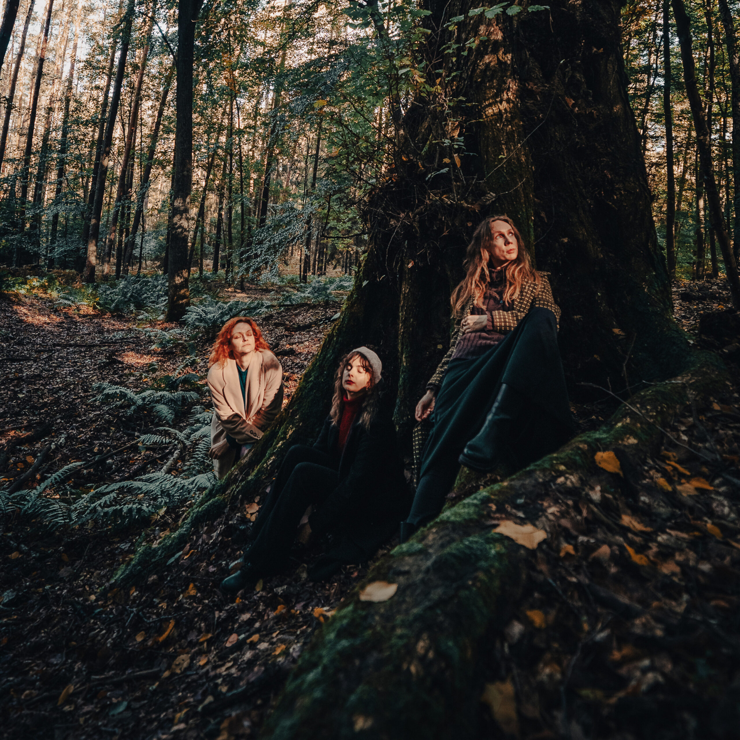 Zespół Wieczornik czerpie z żywiołu Ziemi. Utwór „Leśny” już dostępny!