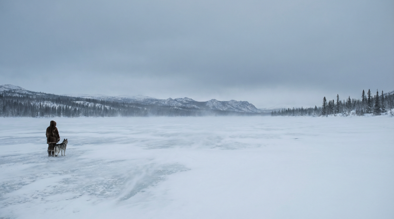 Brazylijski zespół Vencidos zamienia chłód Jack London na swój debiutancki album „To Build a Fire”