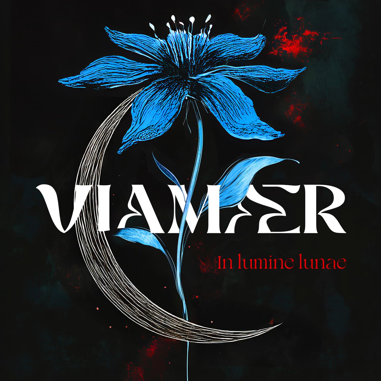 VIAMAER (blackagaze) wydaje debiutancki album „In lumine lunae”