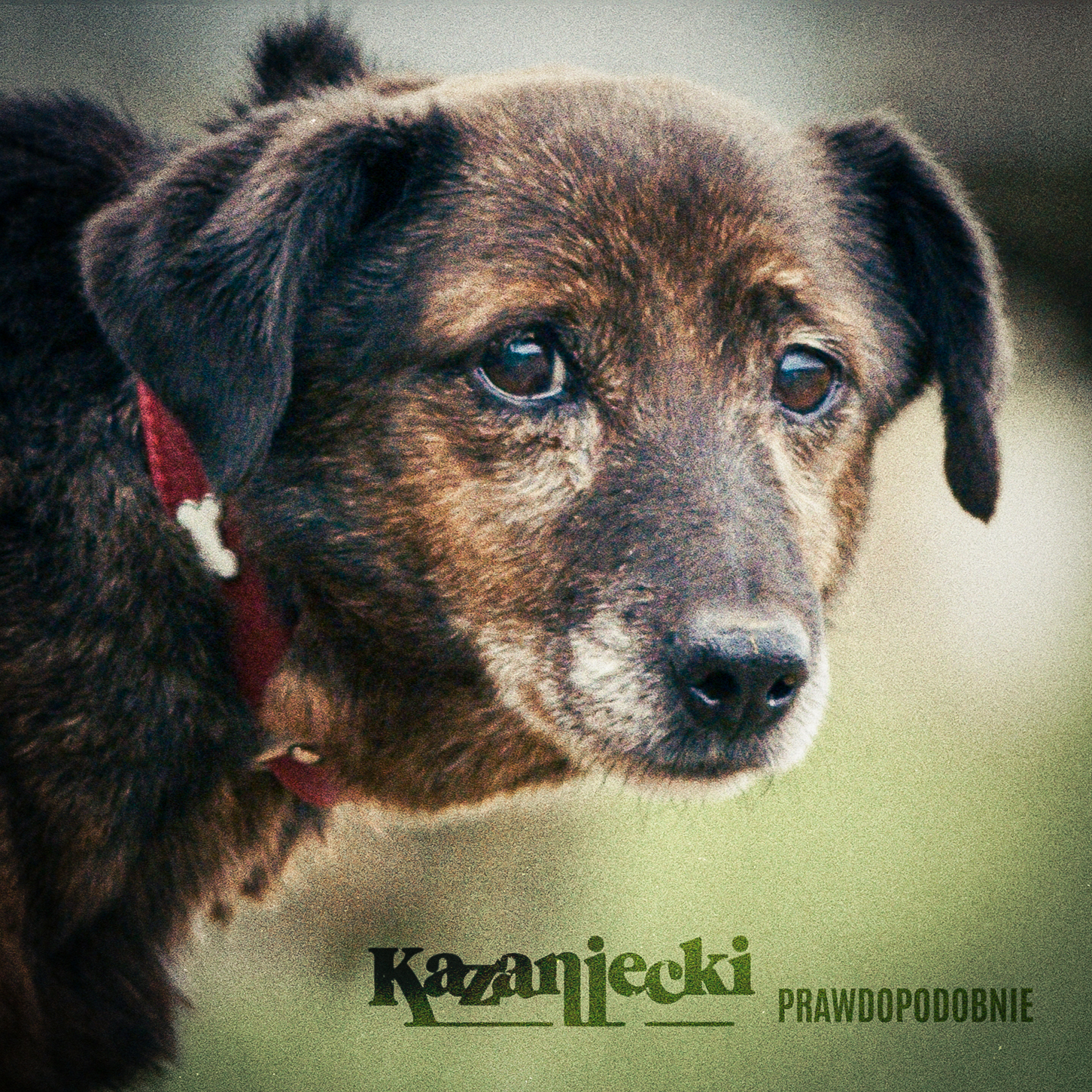 Kazaniecki – premiera singla Prawdopodobnie