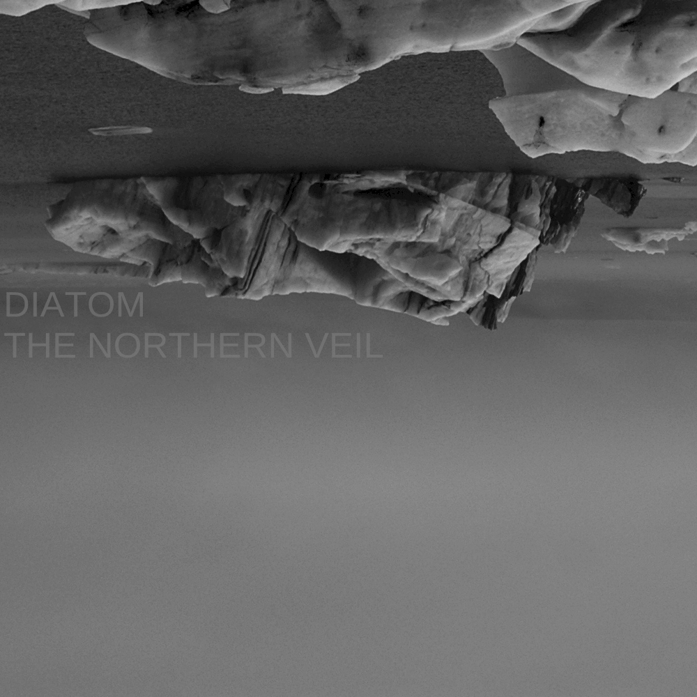 Diatom. Drugi singiel post metalowego zespołu z Gdańska. Zapowiedź drugiego albumu