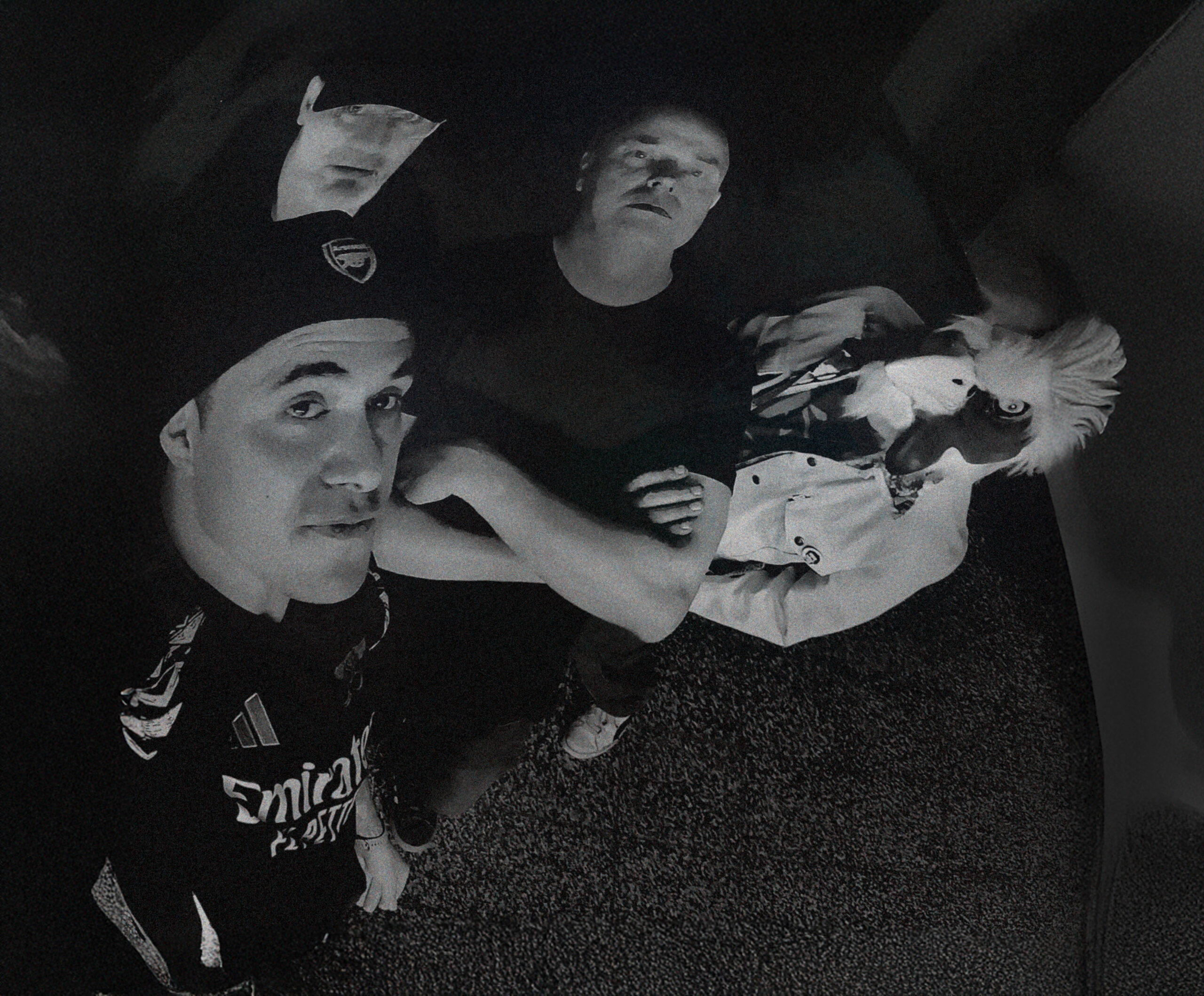 Zespół Elastic Fono Band prezentuje na swoim debiutanckim albumie, jak północny rock alternatywny jest tworzony ze stylem i na własnych zasadach