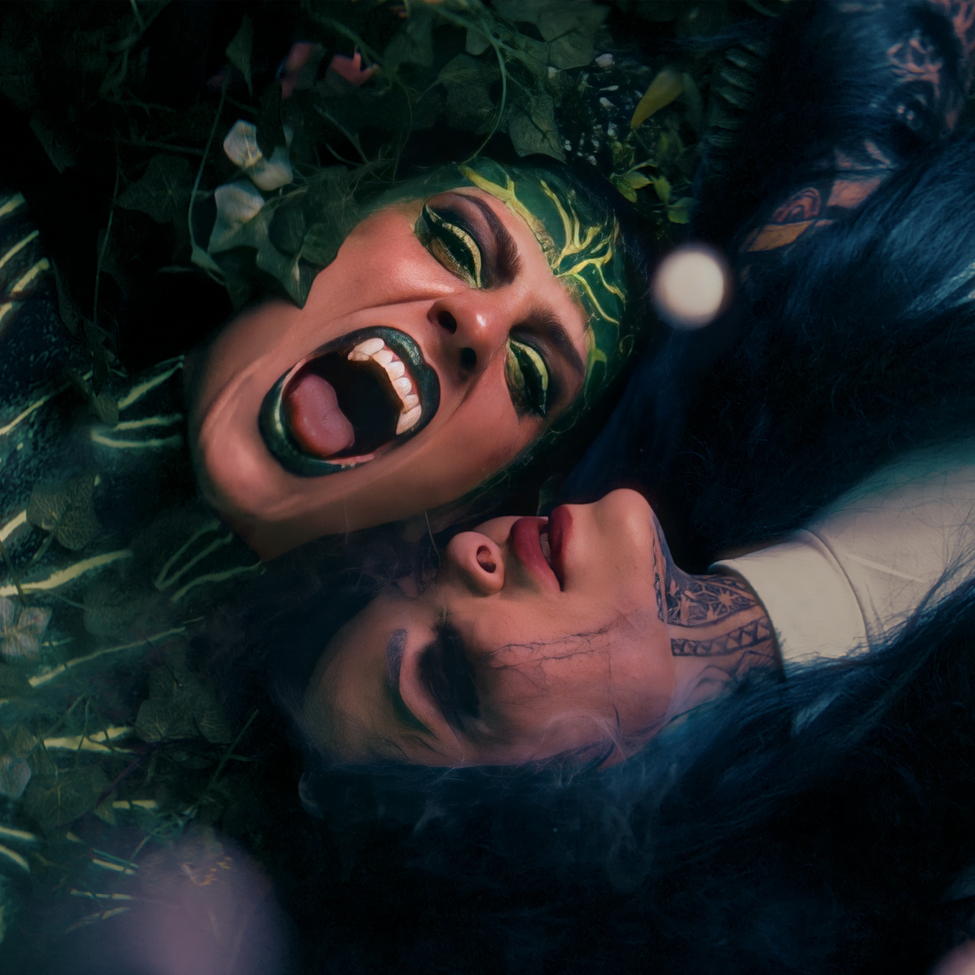 Lyric Noel wydaje singiel i teledysk „Acid Bloom” z udziałem Mixi z Stitched Up Heart