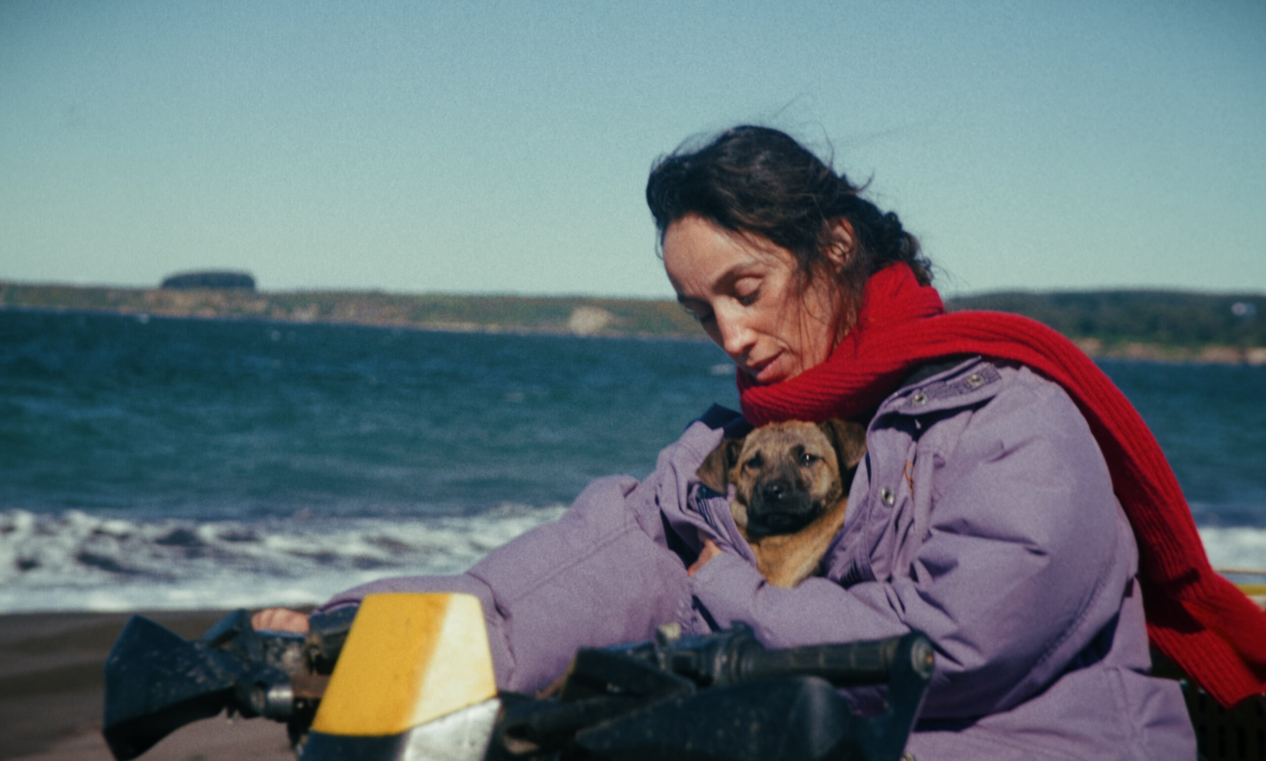 „La Perra” na Nowych Horyzontach – za ten film Yuri dostała Palm Dog Award!